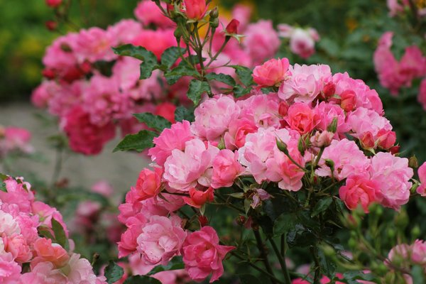 Comment calculer le cout d'une construction ?