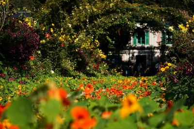 Le guide ultime pour choisir le chariot de jardinage idéal