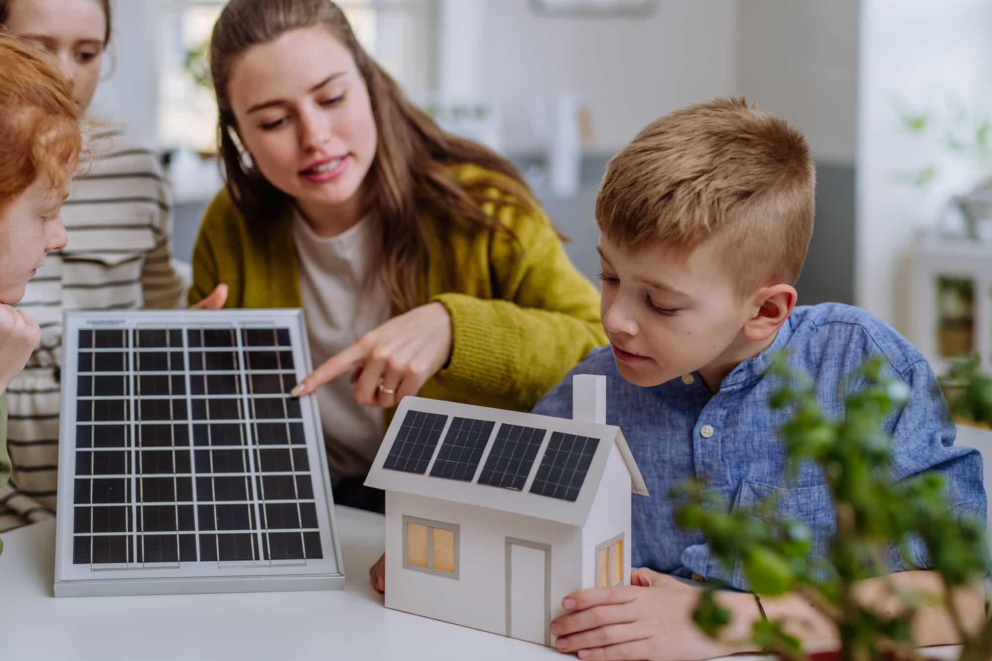 Quels sont les types de panneaux solaires TechnoBio disponibles sur le marché ?