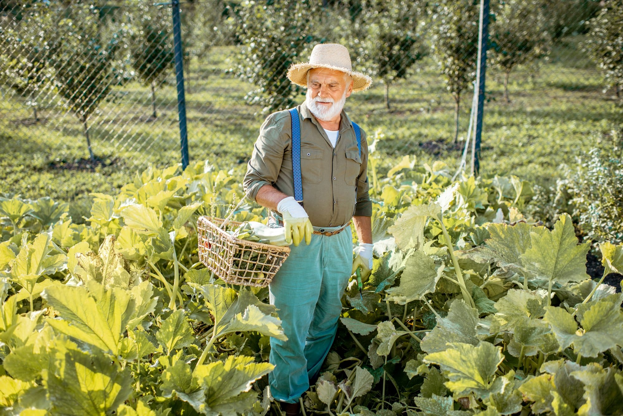 Conseil de jardinage : Préparer son sol pour une récolte abondante, comment faire ?